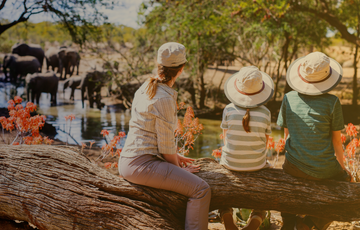 A guide to safari essentials