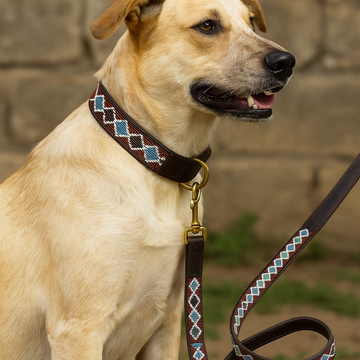 Hand-Beaded Leather Dog Collar & Leash-Maroon & Blue