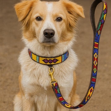 Hand-Beaded Leather Dog Collar & Leash-Maasai Colors