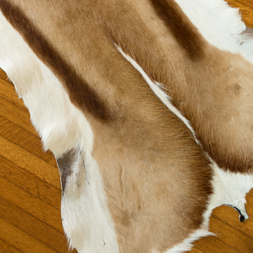 Goat hide Rug