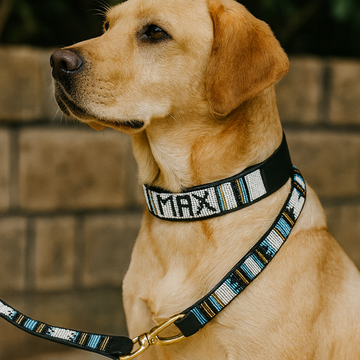 Hand-Beaded Leather Dog Collar & Leash-White, Blue & Black