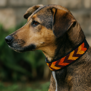 Hand-Beaded Leather Dog Collar & Leash-Orange&Yellow