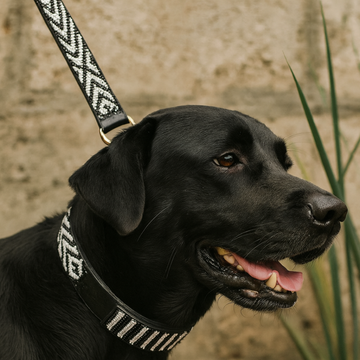 Hand-Beaded Leather Dog Collar & Leash Set-Black & White