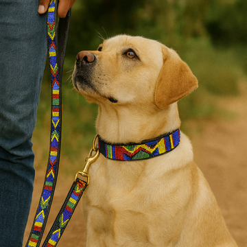 Hand-Beaded Leather Dog Collar & Leash-Maasai Colors