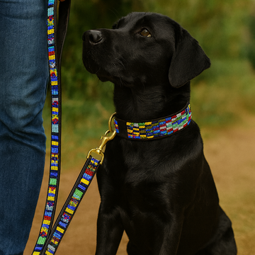 Hand-Beaded Leather Dog Collar & Leash-Ndembele Colors