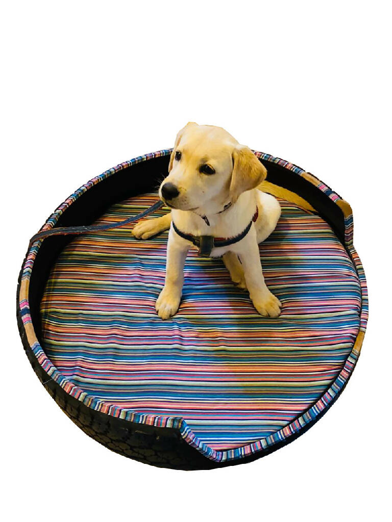 Dog Bed - Shuka