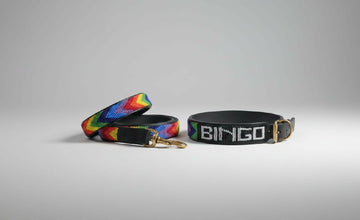 Hand-Beaded Leather Dog Collar & Leash - Rainbow