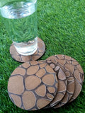 Giraffe9