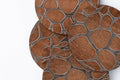 GiraffeDCircleCloseup